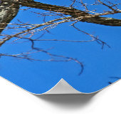 Poster Aigle Balle Sur Bleu (Coin)
