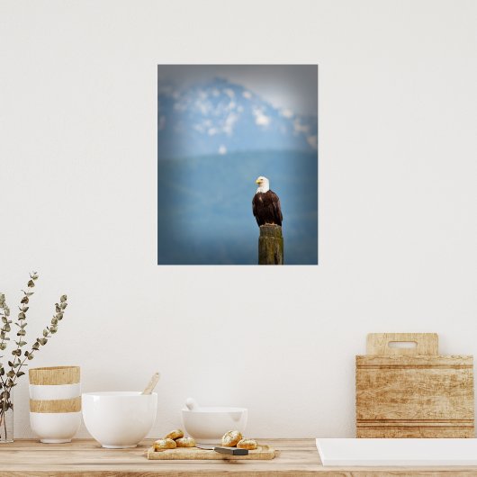 Poster Aigle de Bald (Cuisine)