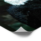 Poster Aigle de Bald (Coin)