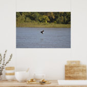 Poster Aigle de Bald (Cuisine)