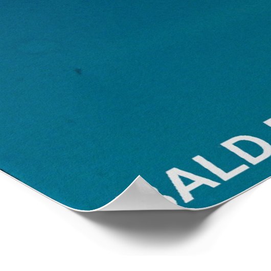 Poster Aigle de Bald (Coin)