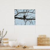 Poster Aigle de Bald (Cuisine)