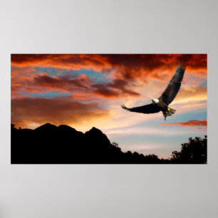 POSTER AIGLE DE CHASSE