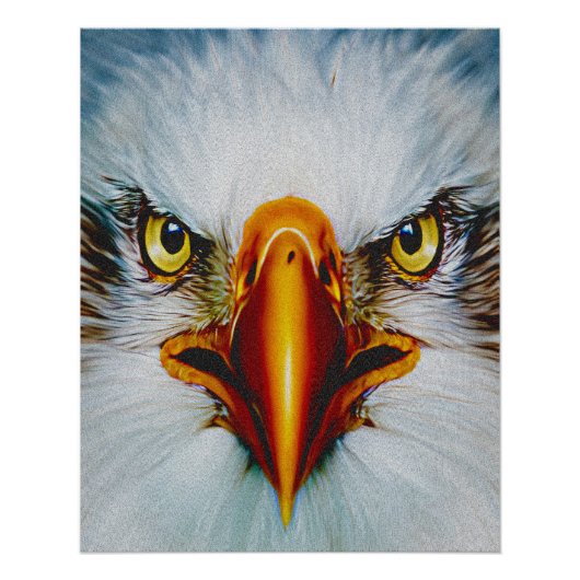 Poster Aigle de face complet (Devant)