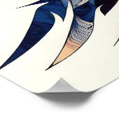 Poster Aigle de la Liberté (Coin)