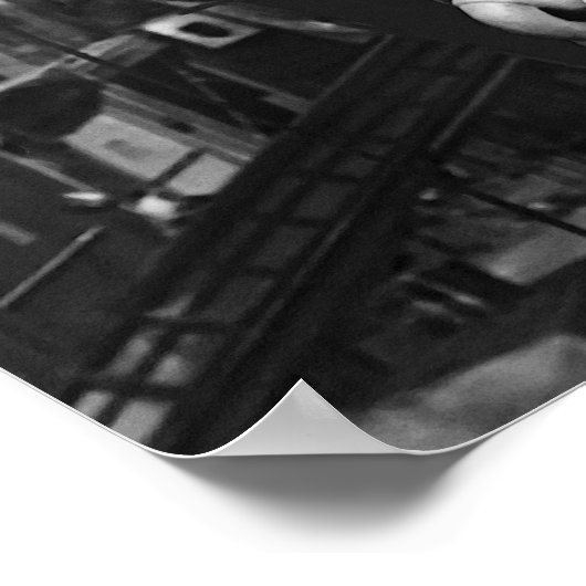 Poster Aigle de l'impératrice (Coin)