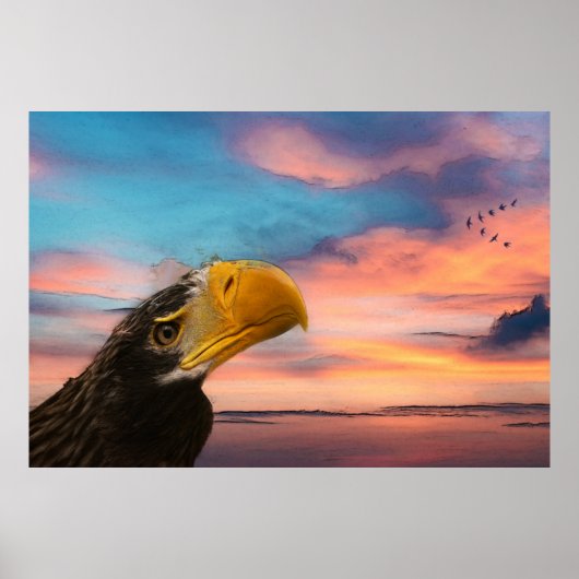 Poster Aigle de mer (Devant)