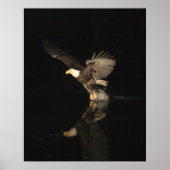 POSTER AIGLE DE NUIT (Devant)