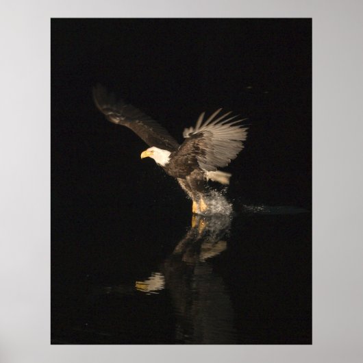 POSTER AIGLE DE NUIT (Devant)