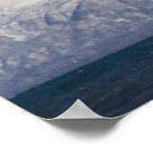 Poster Aigle de tête en vol, Haliaeetus leucocephalus, 3 (Coin)