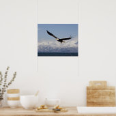 Poster Aigle de tête en vol, Haliaeetus leucocephalus, 3 (Cuisine)