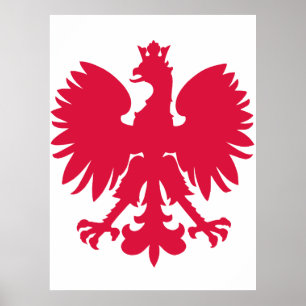 Poster Aigle des armoiries polonaises