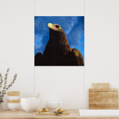 Poster Aigle d'or (Cuisine)