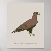 Poster Aigle d'or (Devant)