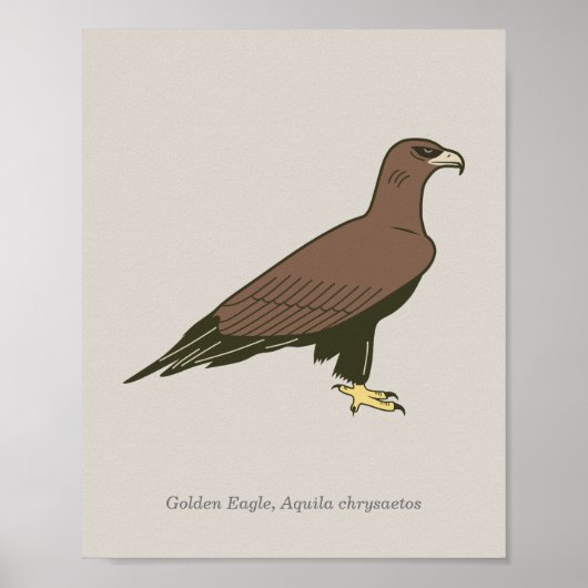 Poster Aigle d'or (Devant)