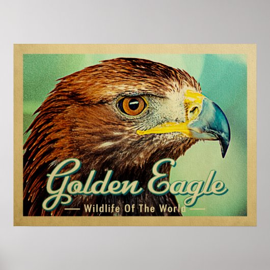 Poster Aigle d'or - La faune de l'Oiseau du monde (Devant)