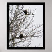 Poster Aigle double (Devant)