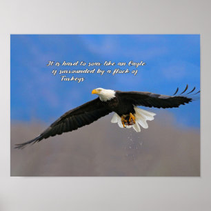 Poster Aigle en flammes et dindes