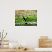 Poster Aigle en marche (Cuisine)
