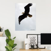 Poster "Aigle en vol" (Bureau à domicile)