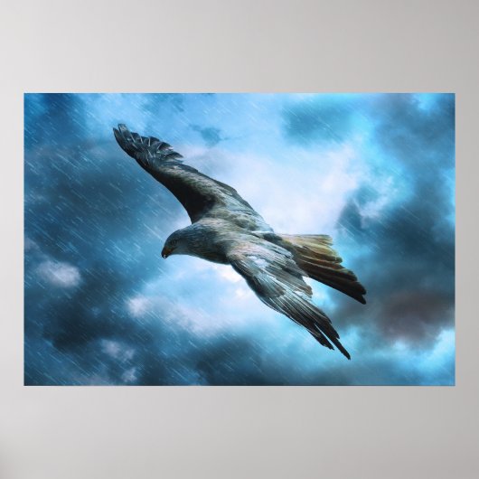 Poster Aigle en vol (Devant)