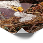 Poster Aigle et aiglon patriotiques doux Art (Coin)