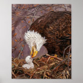 Poster Aigle et aiglon patriotiques doux Art (Devant)