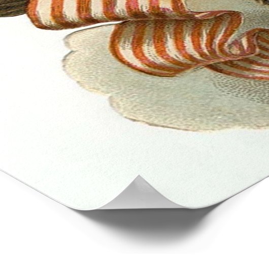 Poster Aigle et drapeau (Coin)