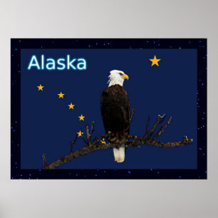 Poster Aigle Et Drapeau De L'Alaska