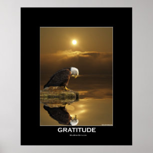 Poster Aigle et soleil