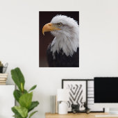 Poster Aigle fier imprimé (Bureau à domicile)