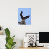 Poster Aigle (Haliaeetus leucocephalus) avec ailes (Bureau à domicile)