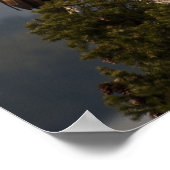 Poster Aigle maturé - Beaux-Arts (Coin)