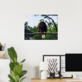 Poster Aigle mûre perché dans l'arbre (Bureau à domicile)