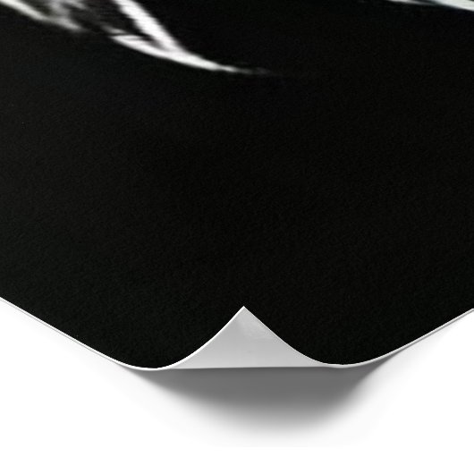 Poster Aigle noir et blanc tendance (Coin)