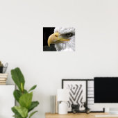 POSTER AIGLE OISEAU DE PROIE  (Bureau à domicile)