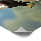Poster Aigle qui s'envole dans le ciel (Coin)