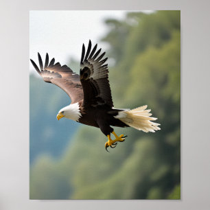 Poster Aigle qui s'envole dans le ciel