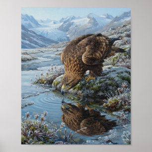 Poster Aigle Royal Buvant la Rivière Glaciaire Reflet Alp