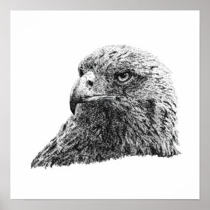 Poster Aigle royal majestueux faune oiseau conception d'a