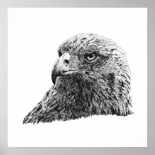 Poster Aigle royal majestueux faune oiseau conception d'a (Devant)