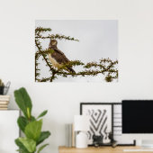 Poster Aigle serpent Brown - Sentinelle de la Savannah (Bureau à domicile)