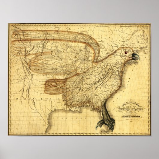 Poster Aigle superposé aux États-Unis (Devant)