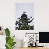 Poster Aigle sur l'image du sommet de l'arbre (Bureau à domicile)