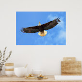 Poster Aigle volant (Cuisine)