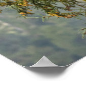 Poster Aigles chauds | Tongass National Forest Alaska (Coin)