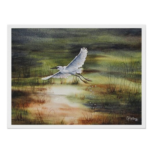 Poster Aigrette blanche aquarelle  (Devant)