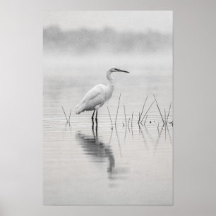 Poster Aigrette Blanche dans l'Affiche Noir et Blanc de B