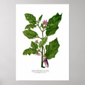 Poster Aiguille (Devant)