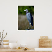 Poster Aiguille bleue (Cuisine)